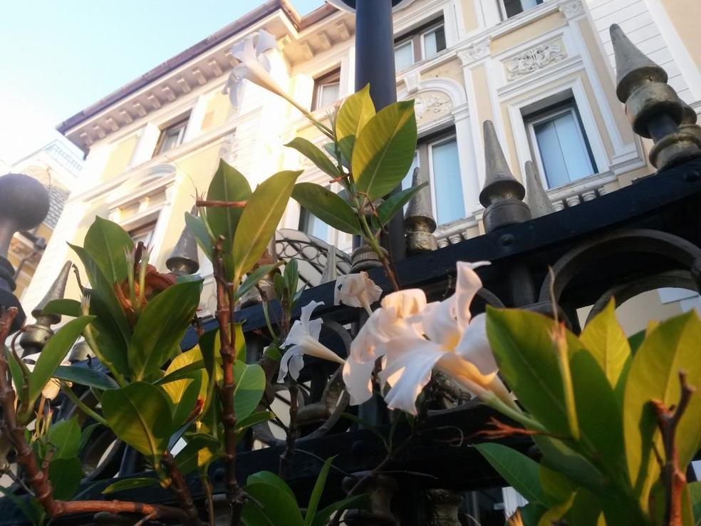 Ena Hotel Arenzano Luaran gambar